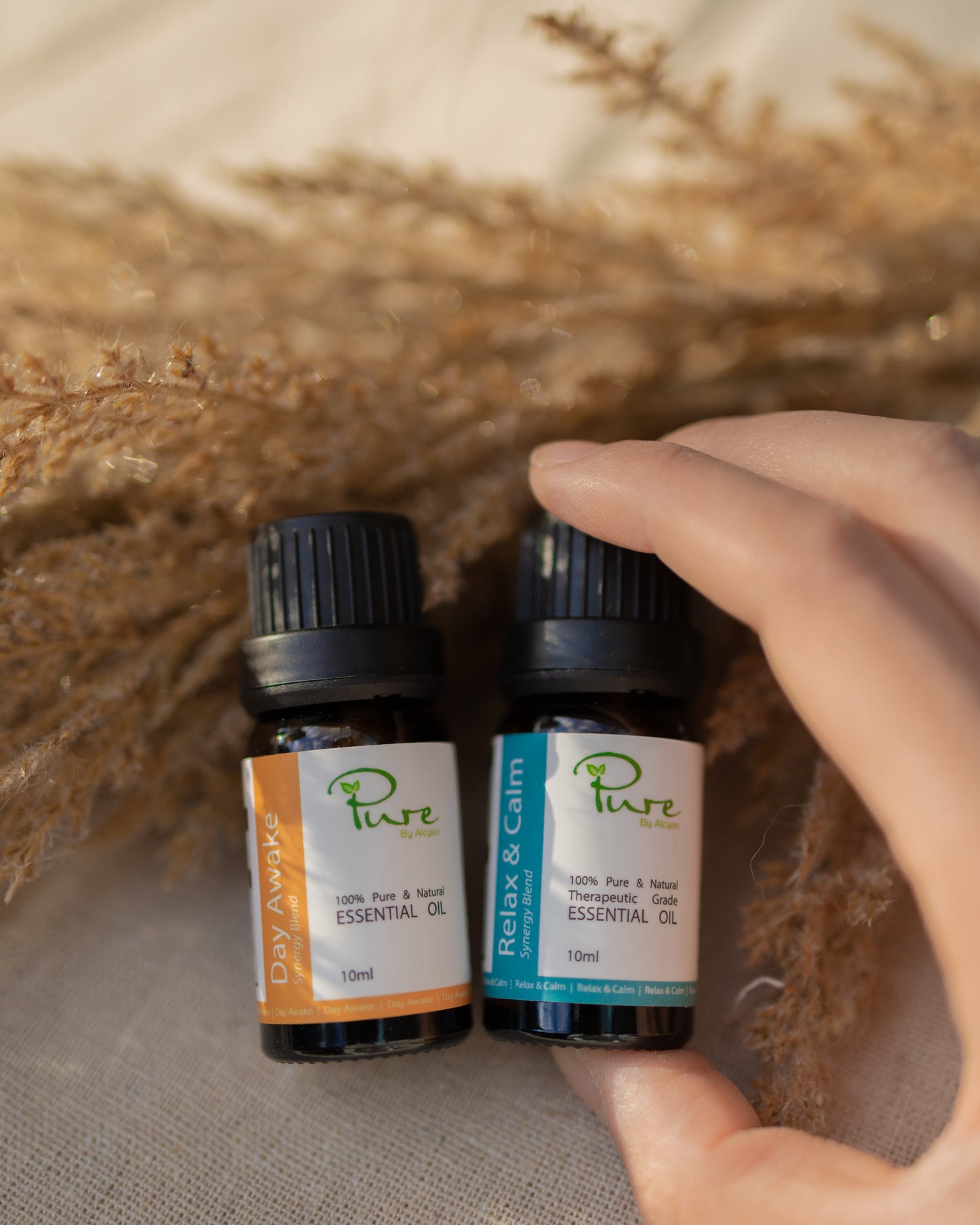 Work From Home (WFH) Aromatherapy Diffuser